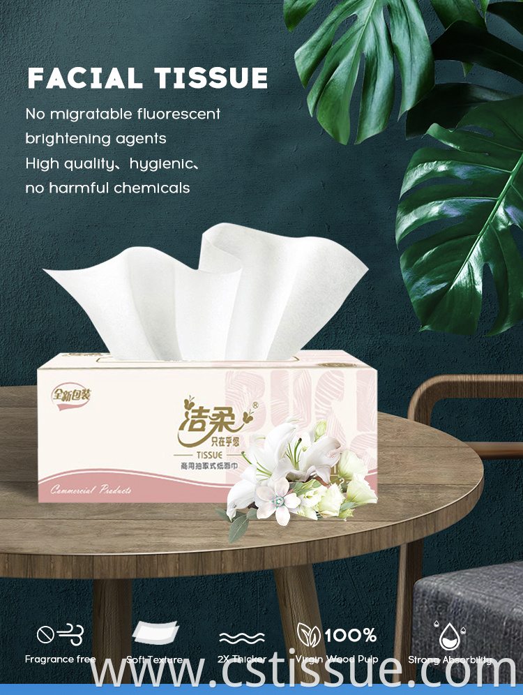 2 Ply Box Facial Tissue